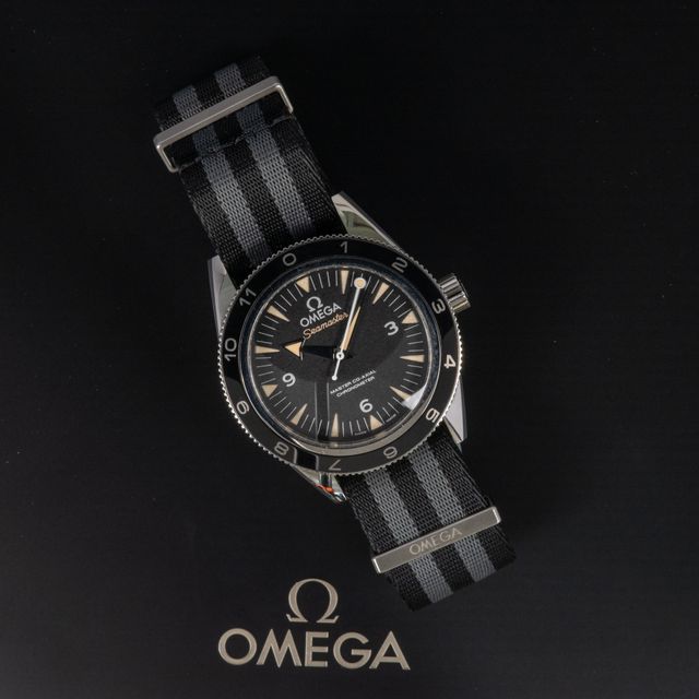 Omega Seamaster 300 233.32.41.21.01.001 Image 7